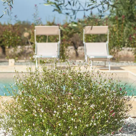 Pugliese House Holiday home