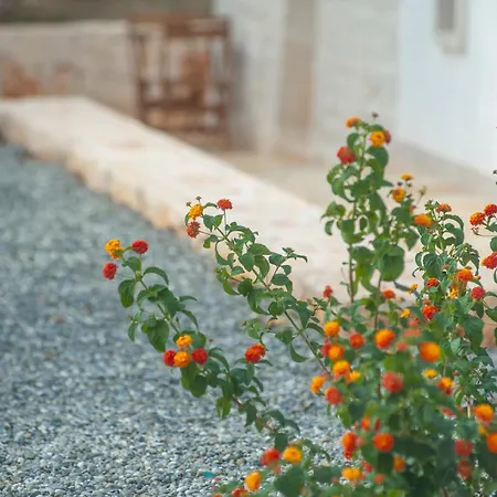 Pugliese House Holiday home Alberobello