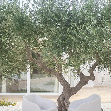 Pugliese House Holiday home *